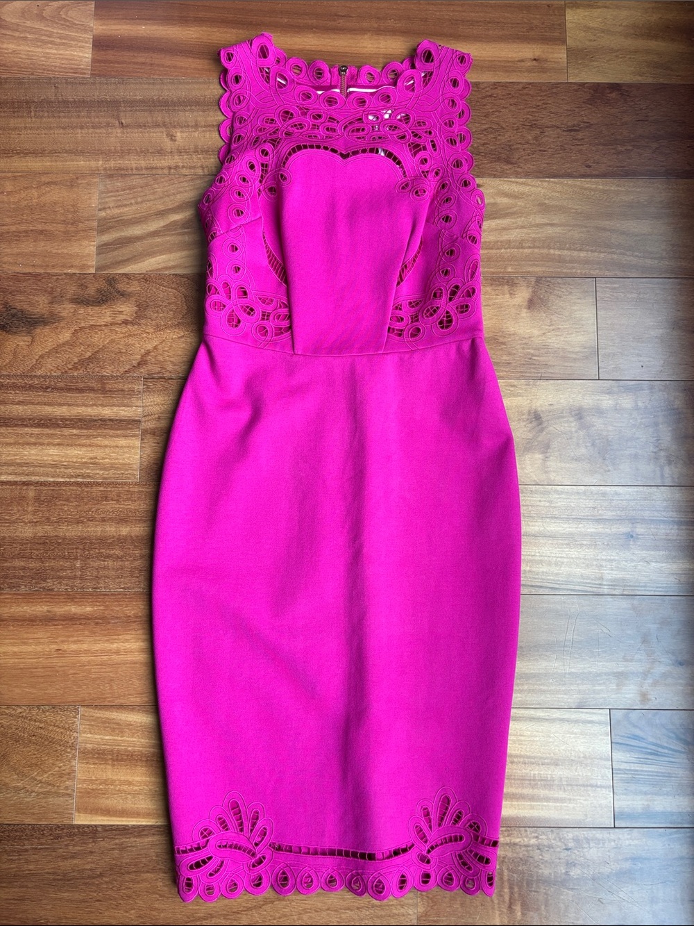 NWT Ted Baker dress